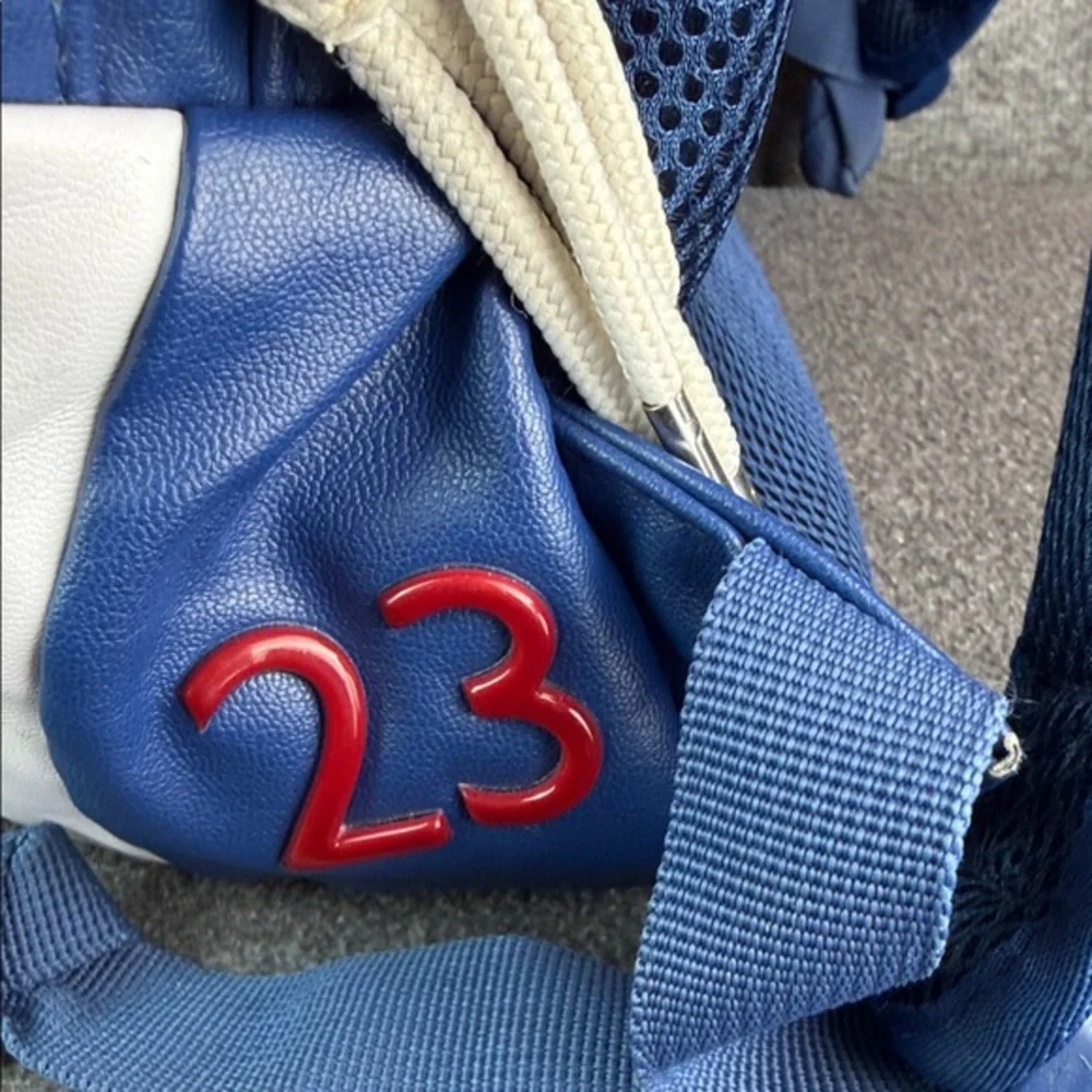 Nike Air Jordan Retro‎ 12 French Blue Men's Backpack Limited Edition